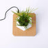 LevPot™ 2 - Levitating Mini Bonsai Pot